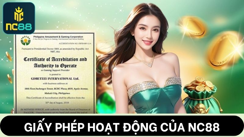 giấy phép hoạt động của NC88