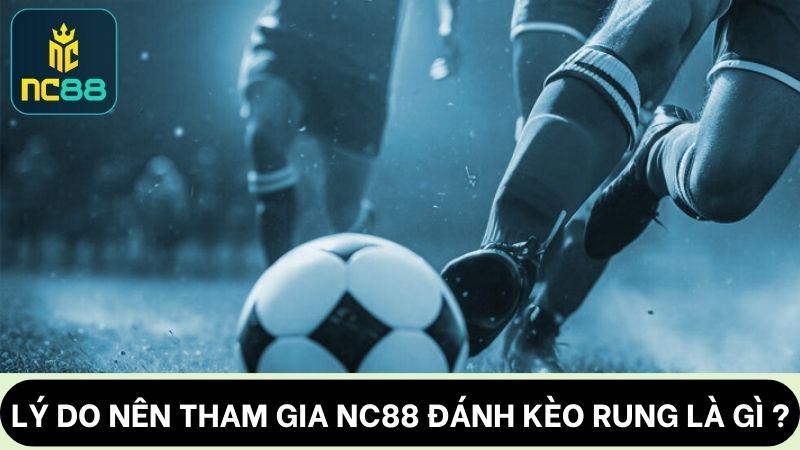 lý do nên đánh kèo rung là gì?