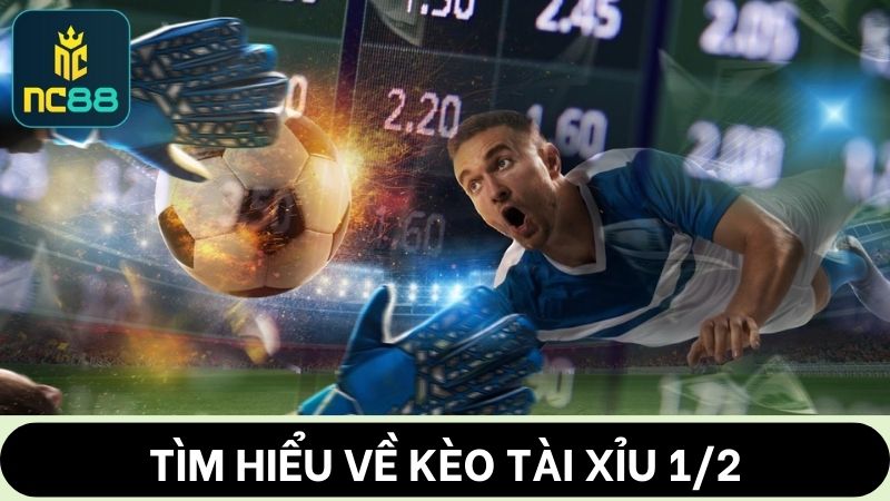 Tìm hiểu kèo Tài Xỉu 1/2